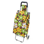 Shopping Trolleys